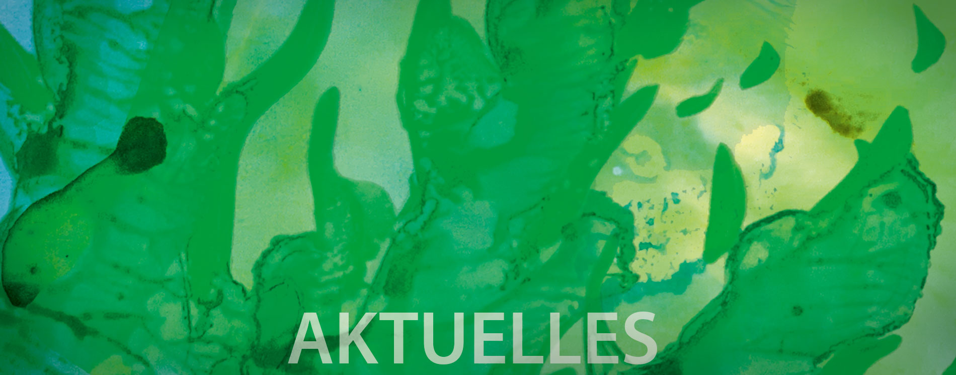 Konzert-Flyer