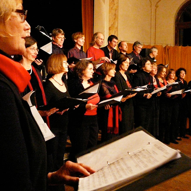 conforza singt